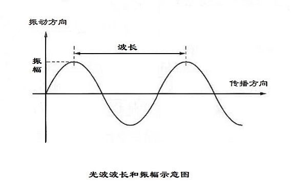波长和振幅.jpg