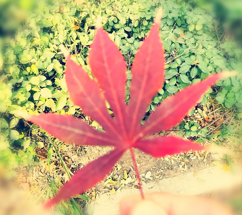 1667752664207234.jpg IMG_20221101_153540.jpg